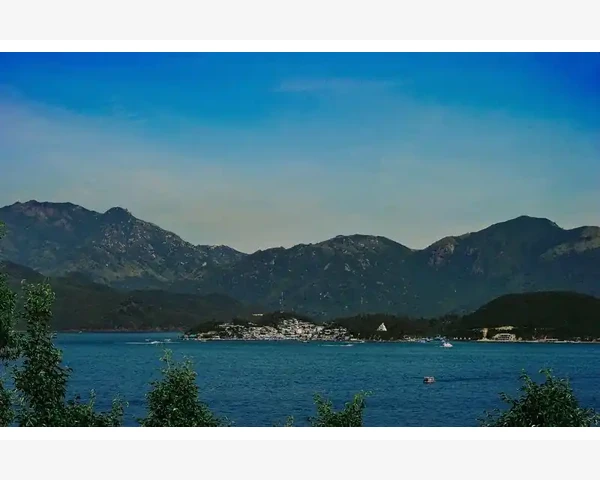 免费B2B电商平台实操技巧_平台运营效果不佳投入产出比低