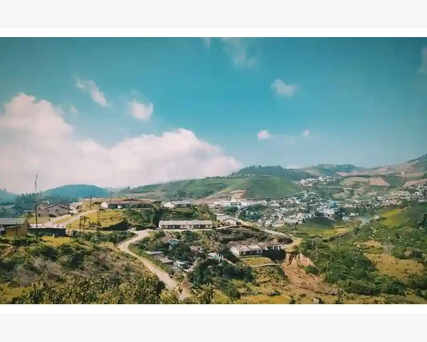 B2B线上交易实战操作核心要点_从技术储备到市场需求的精准映射