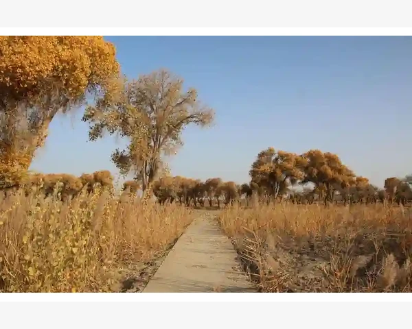 B2B电商平台搭建从选型到运营的实操要点_云端协同打破部门信息壁垒