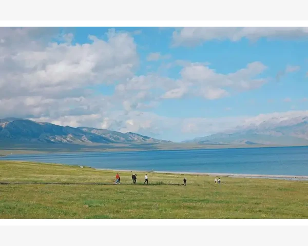 B2B平台广告语如何精准打动企业客户_选对平台是收录的根基