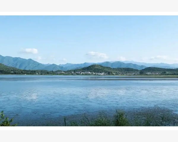 移动b2b订货平台登录操作全解_国内主流垂直B2B电商平台实例分析