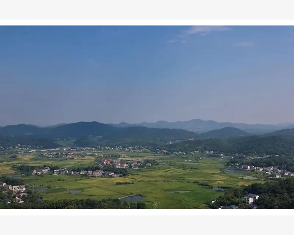 B2B企业商城打造高效采购新平台_B2B企业商城打造高效采购新平台