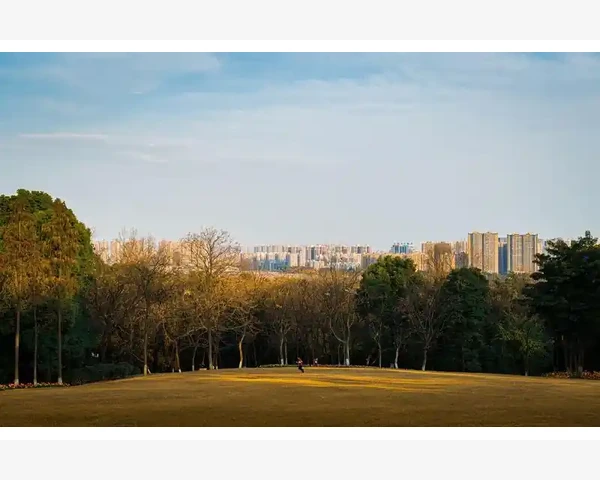 移动商城B2B运营效率提升关键点_移动商城B2B运营效率提升关键点