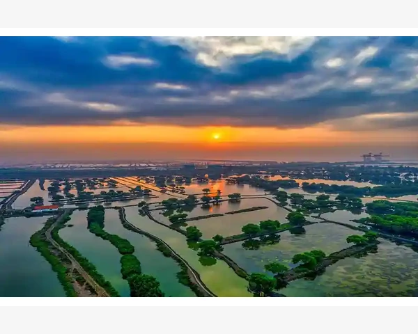 登录后的安全设置别忽视_留学B2B如何选对服务商