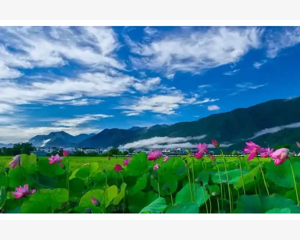 园林机械商户巧搭工程基地B2B桥梁_小众但实用的B2B网站推荐