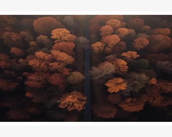 工业产线搬迁拆装巧用B2B对接工厂升级需求_广告投放平台：快速获取精准流量的利器