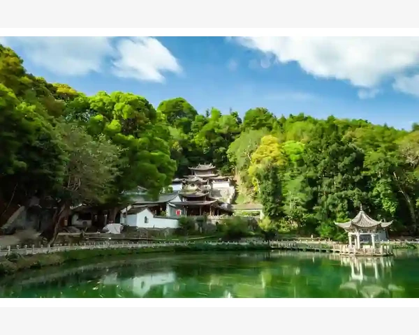 MT4电脑版连接中断常见诱因与排查思路_网络环境波动是头号嫌疑对象
